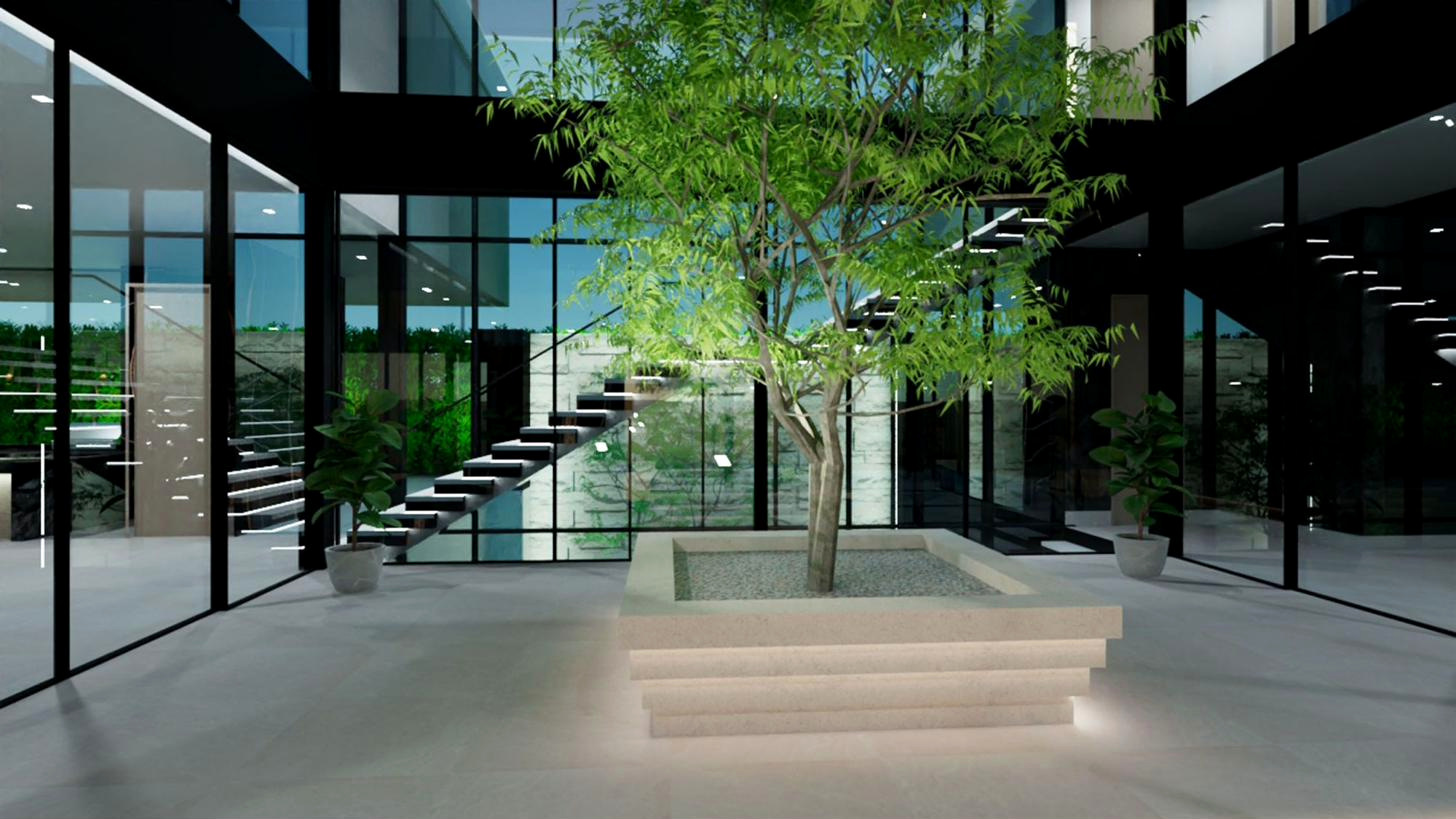Interior courtyard with mature olive tree
